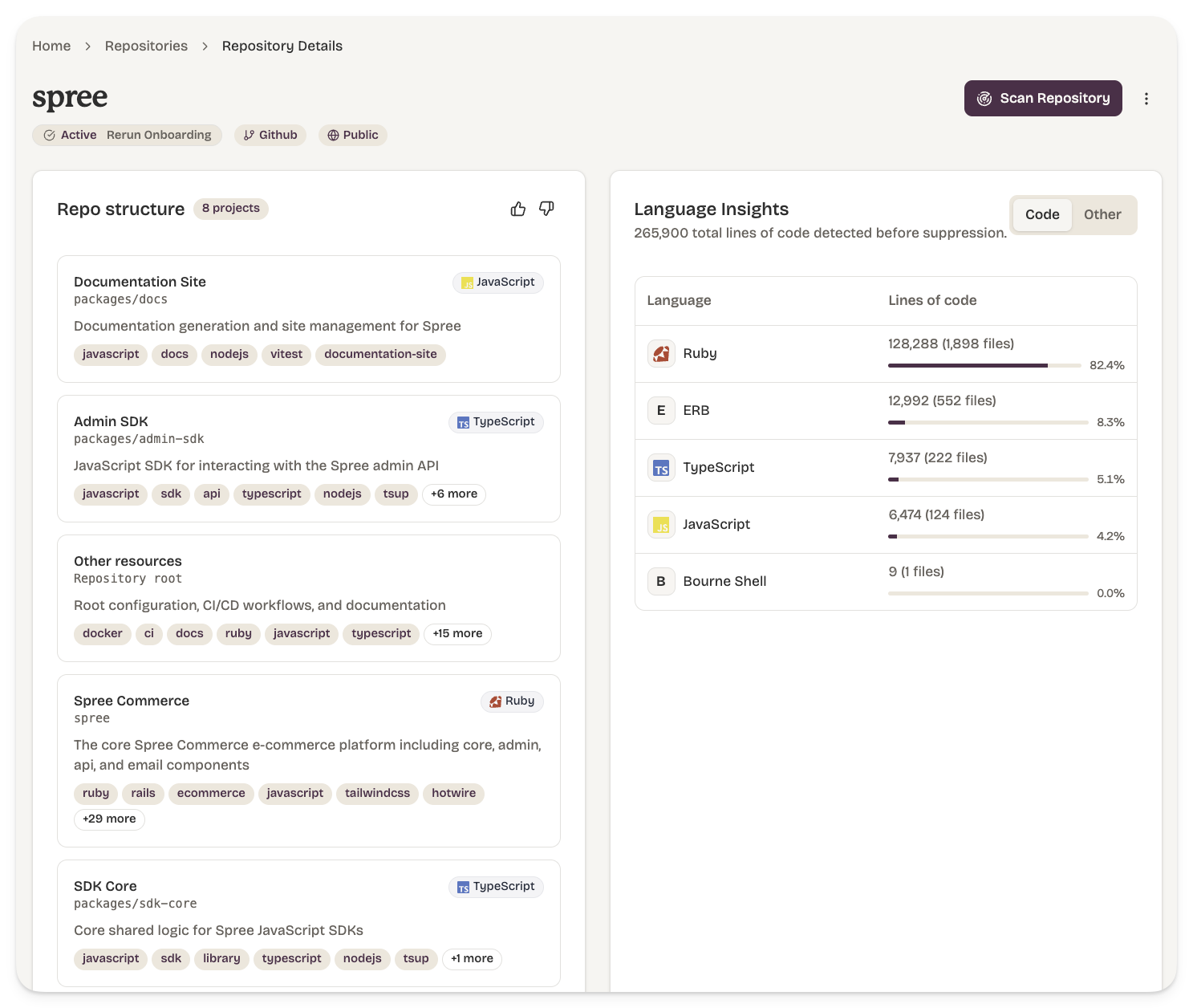 Projects panel showing the projects discovered inside an onboarded repository